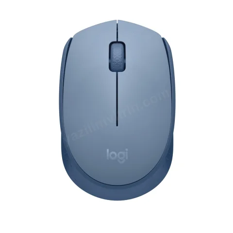 Logıtech M171 Kablosuz Mouse Mavı 910-006866